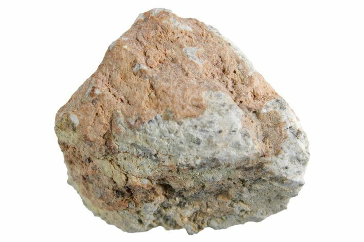Lunar Meteorite ( g) - Bechar #360377